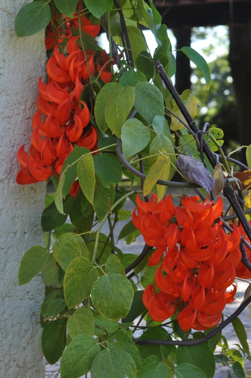 25 - Imagens do CEU.jpg